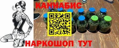 шишки Будённовск