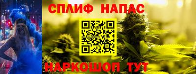 шишки Будённовск