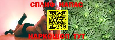 шишки Будённовск