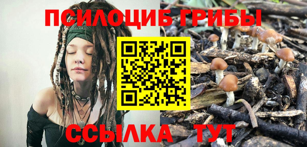Псилоцибиновые грибы ЛСД Алапаевск
