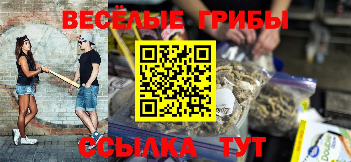 Псилоцибиновые грибы GOLDEN TEACHER  Вход с VPN  Алапаевск 